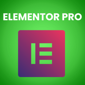 Home elementor pro