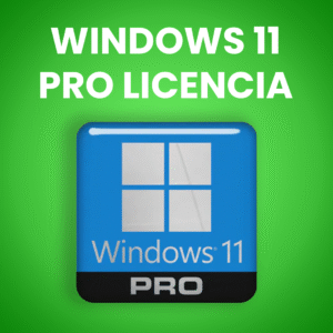 Home windows 11 professional – licencia digital
